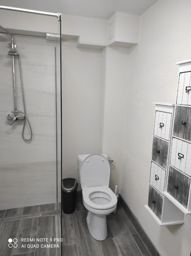 Cozy Loft Apartament Sighetu Marmaţiei Eksteriør bilde