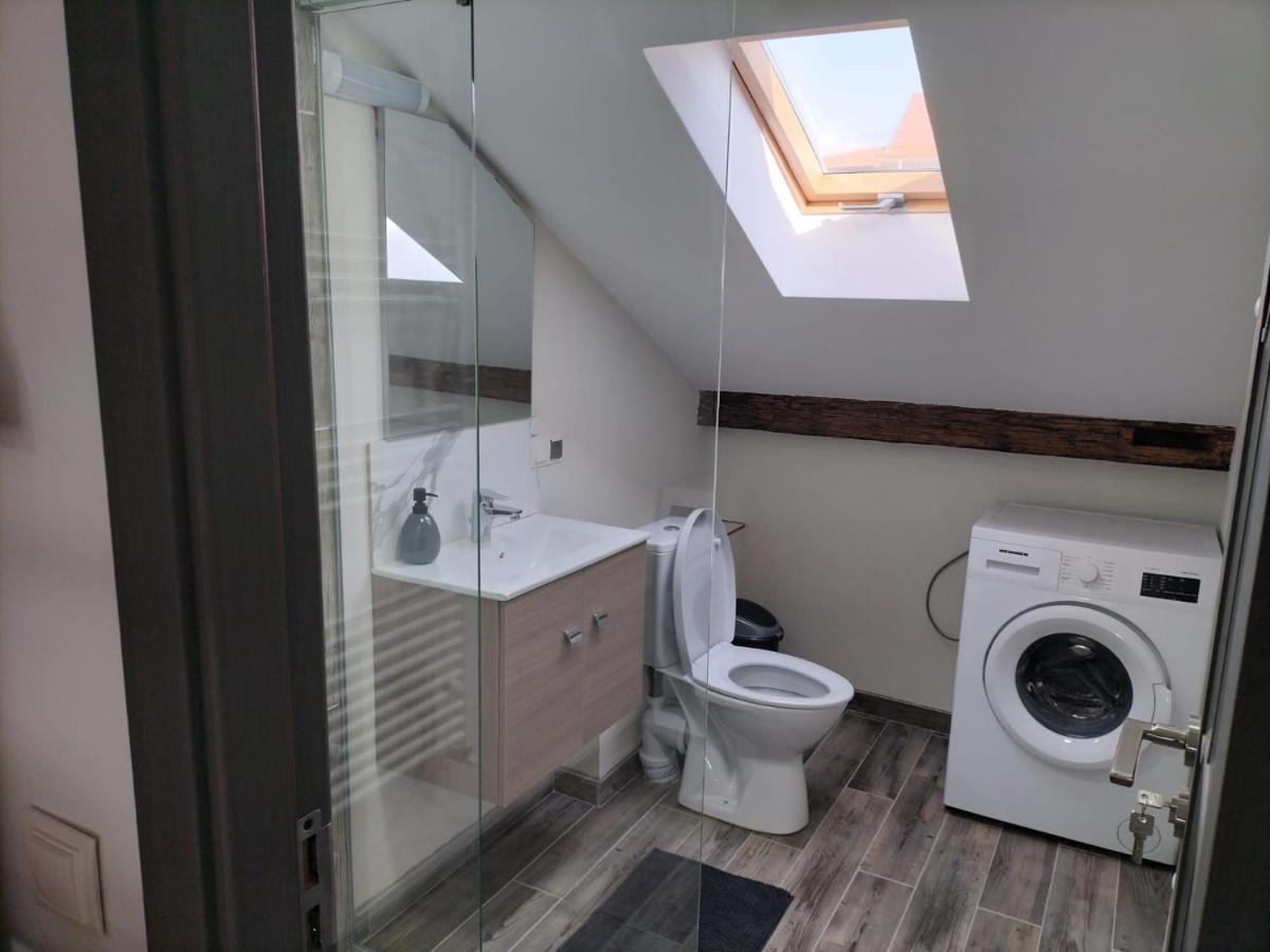 Cozy Loft Apartament Sighetu Marmaţiei Eksteriør bilde